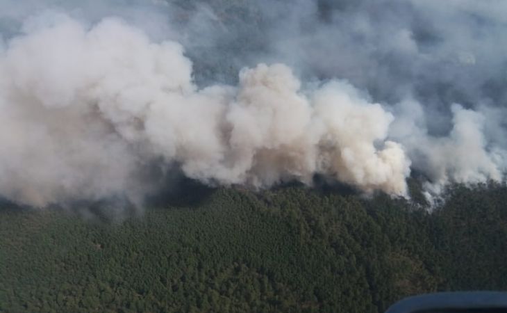 Площадь пожаров в Сибири достигла максимума с начала года