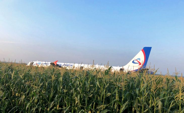 Самолет с 226 пассажирами на борту сел в кукурузном поле в Подмосковье
