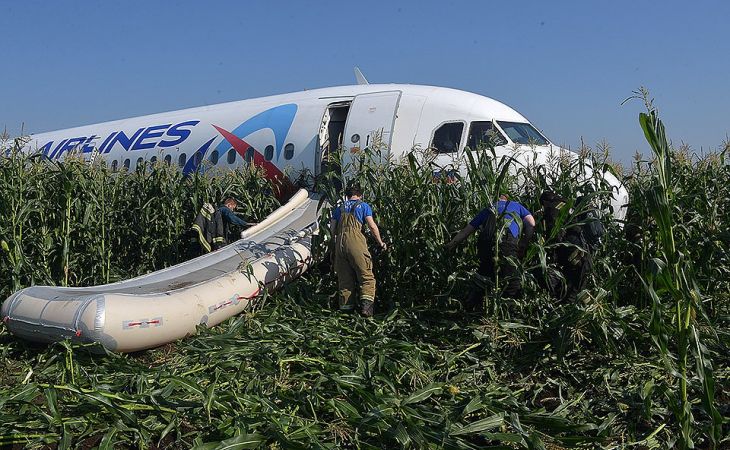Экипаж севшего в поле Жуковского самолета представят к наградам