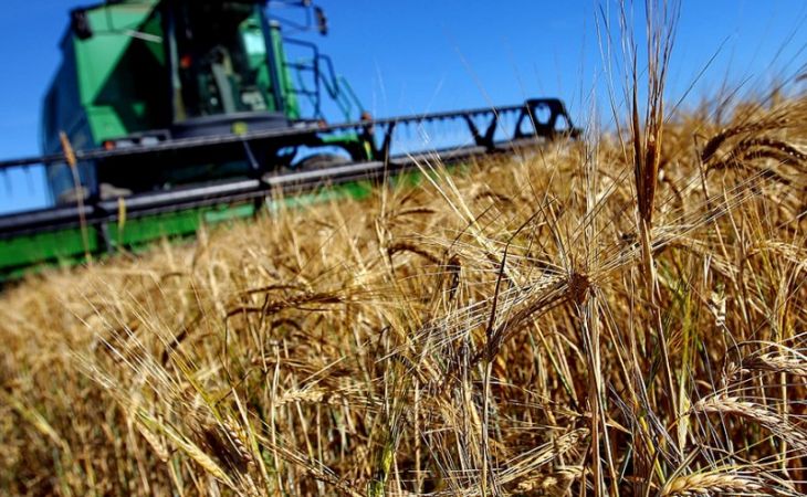 Первый миллион тонн зерна нового урожая собрали аграрии Алтайского края