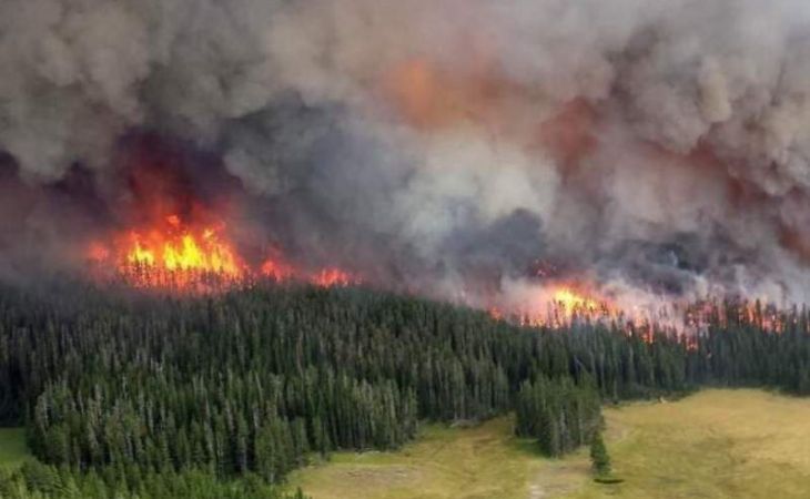 МЧС ожидает пожары пятого класса горимости в Алтайском крае в ближайшие выходные