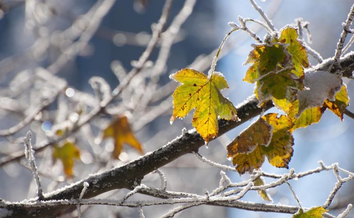 Погода 21 октября в Алтайском крае: до -5 градусов в регионе