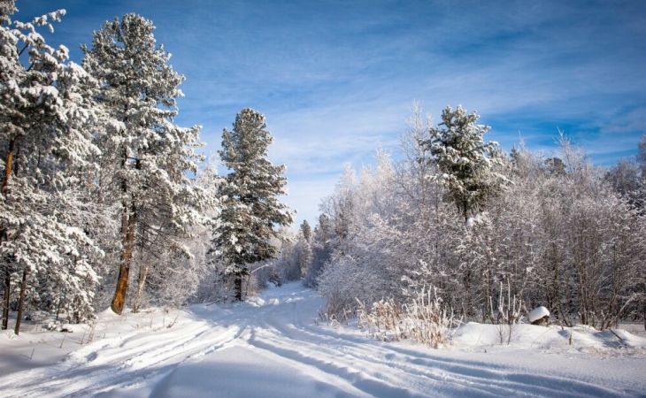 Погода 17 декабря в Алтайском крае: небольшой снег и до -11 градусов