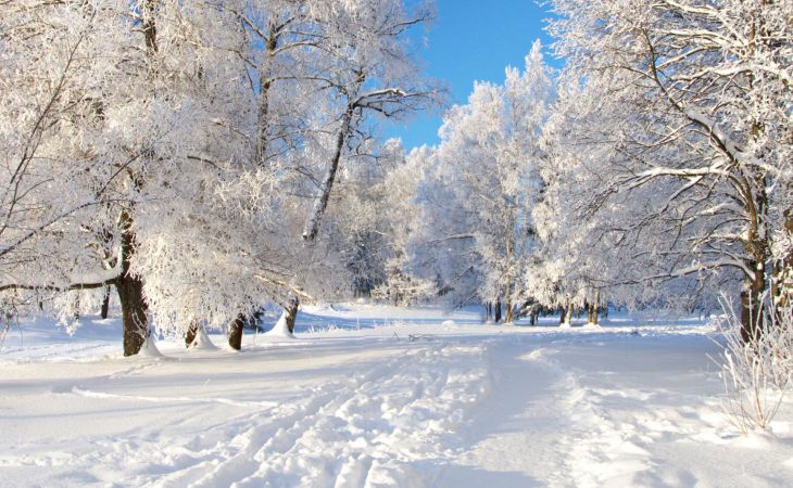 Погода 20 декабря в Алтайском крае: небольшой снег и потепление