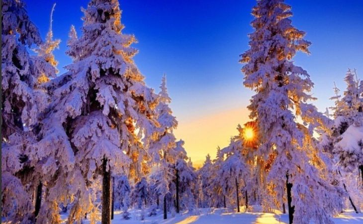 Погода 24 декабря в Алтайском крае: снег, метель, ветер