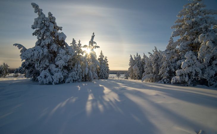 Погода 10 января в Алтайском крае: небольшой снег и до -16 градусов
