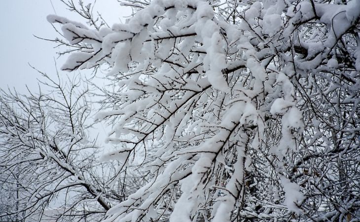 Погода 13 января в Алтайском крае: снег и около -7 градусов