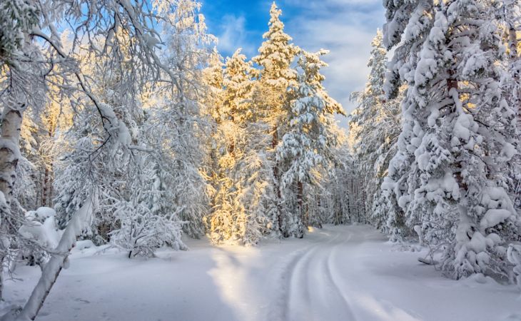 Погода 14 января в Алтайском крае: без осадков и до -9 градусов
