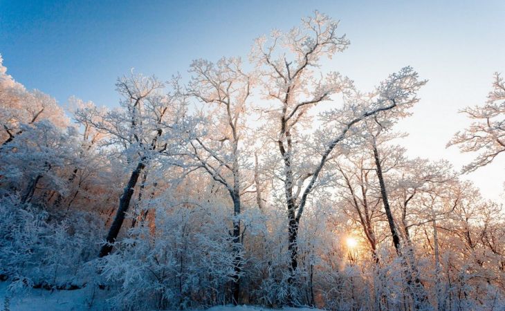 Погода 27 января в Алтайском крае: небольшой снег и до +2 градусов