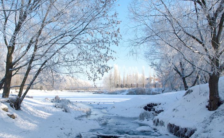 Погода 4 марта в Алтайском крае: небольшой снег и до +1 градуса
