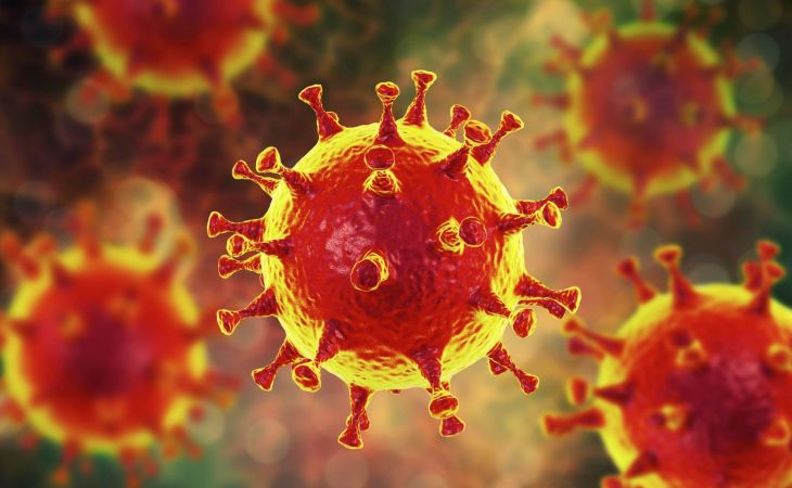 Четвертый случай заболевания коронавирусом подтвержден в Алтайском крае