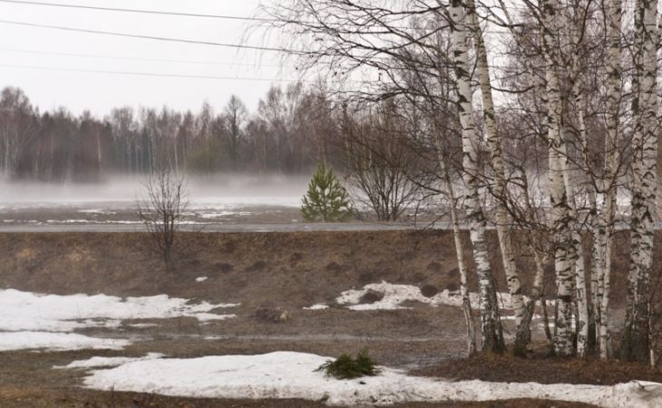 Погода 8 апреля в Алтайском крае: дождь, ветер и +14 градусов в регионе