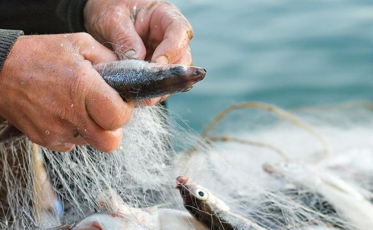 Барнаульский рыбак с сетями и моторной лодкой незаконно ловил краснокнижную рыбу