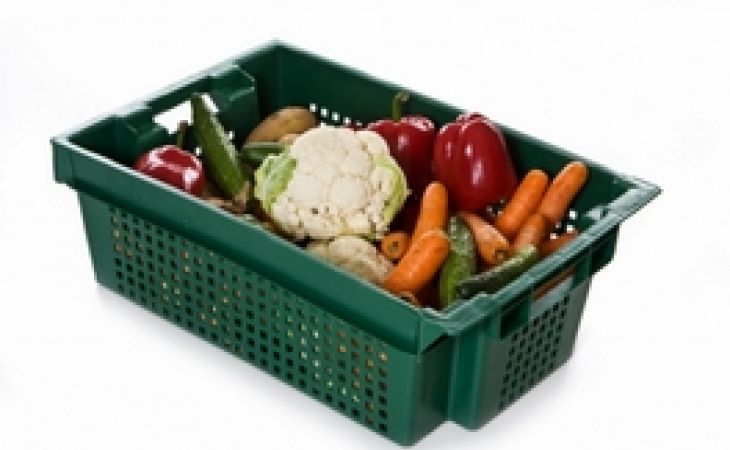 Пластиковые ящики: какие выбрать для хранения продуктов?