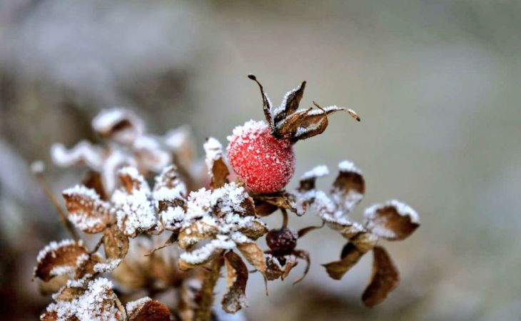 Погода 6 ноября в Алтайском крае: небольшой снег и до +8 градусов