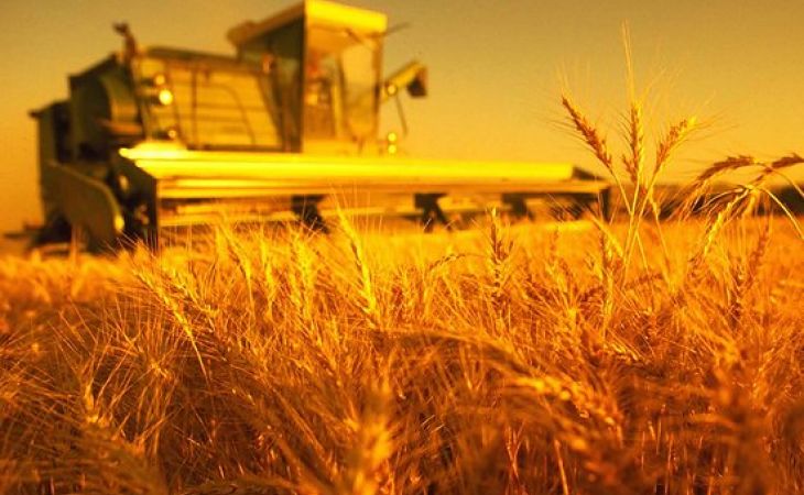 ВТБ упрощает кредитование малого агробизнеса