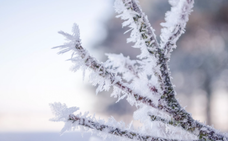 Погода 2 декабря в Алтайском крае: без осадков и до -16 градусов