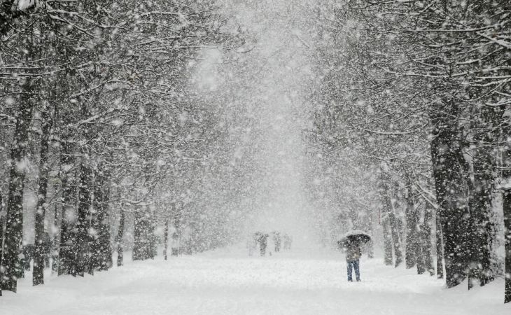 Погода 8 декабря в Алтайском крае:снег, ветер, метели