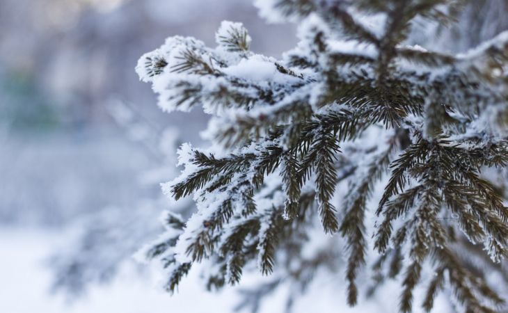 Погода 9 декабря в Алтайском крае: небольшой снег и до -16 градусов