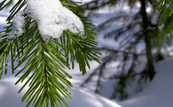 Погода 11 декабря в Алтайском крае: снег, метели и до -18 градусов