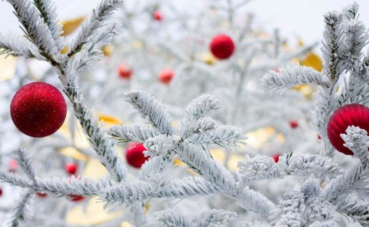 Похолодание придет в Алтайский край 21 декабря