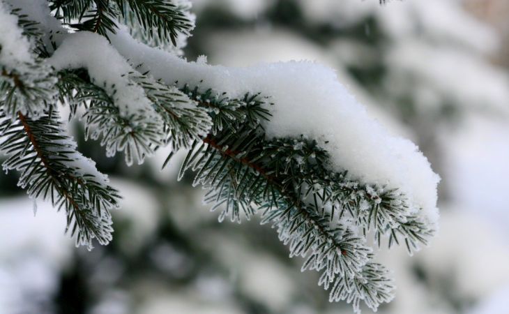 Погода 22 декабря в Алтайском крае: снег, метели и до -20 градусов