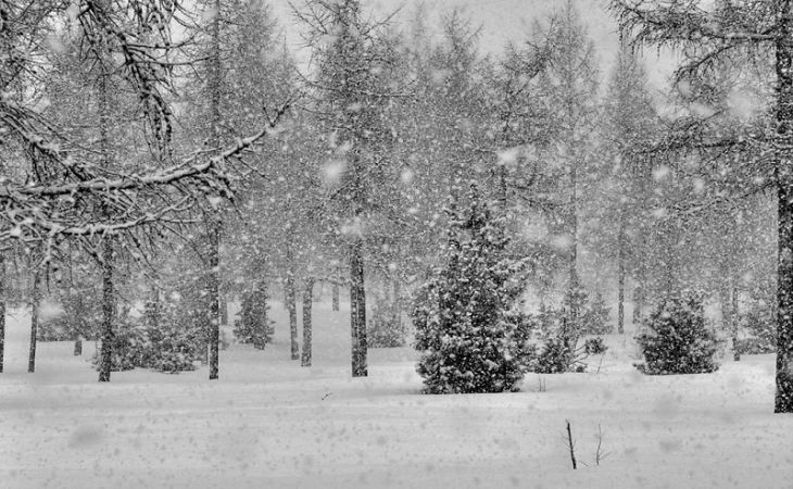 Погода 23 декабря в Алтайском крае: снег, метели, похолодание