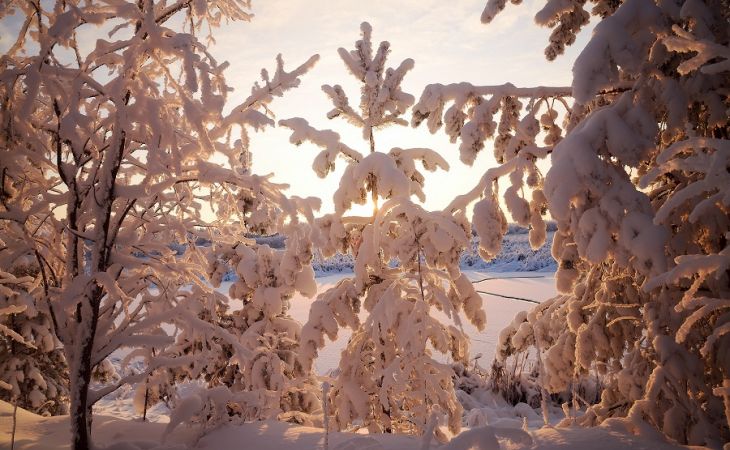 Погода 24 декабря в Алтайском крае: снег и около -5 градусов