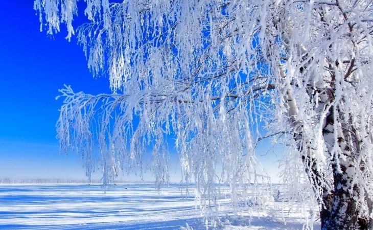 Погода 25 декабря в Алтайском крае: небольшой снег и похолодание