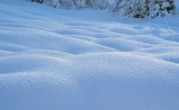 Погода 12 января в Алтайском крае: снег и холодный ветер