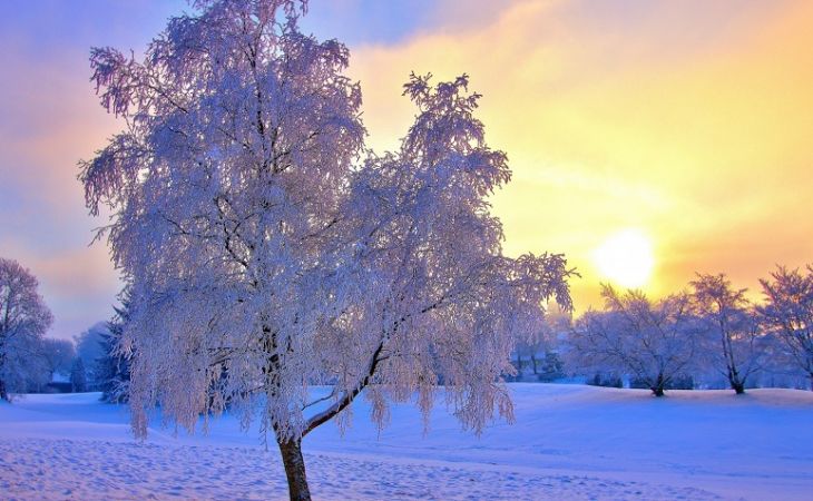 Погода 18 января в Алтайском крае: небольшой снег и тепло