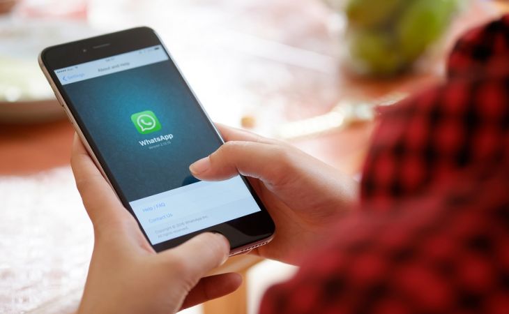 После изменения политики WhatsApp пользователи экстренно переходят на другие платформы