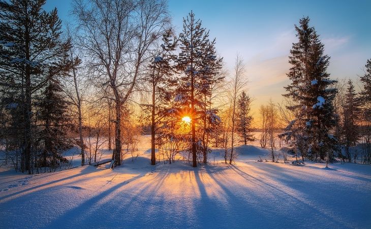 Морозы возвращаются 11 февраля в Алтайский край