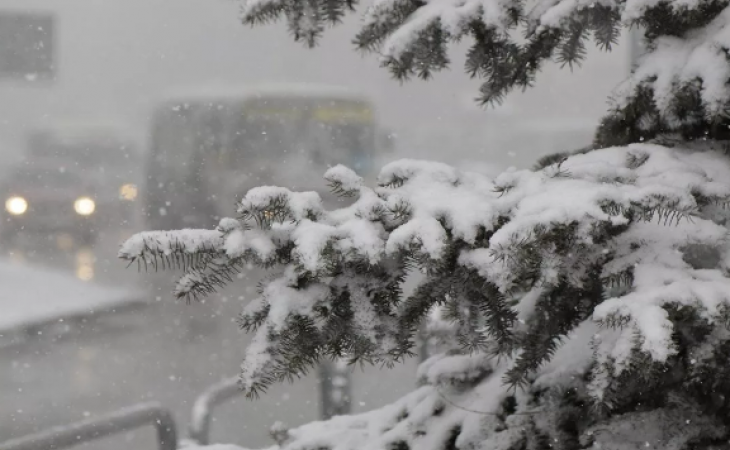 Погода 12 марта в Алтайском крае: ветер, снег и похолодание
