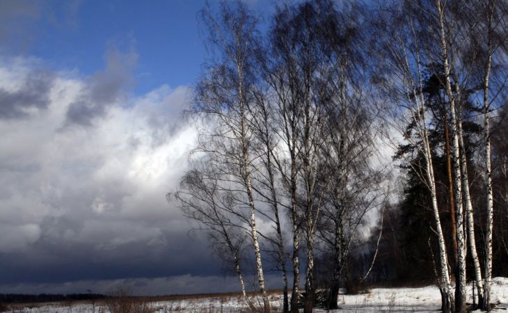 Погода 24 марта в Алтайском крае: ветер, снег и дождь