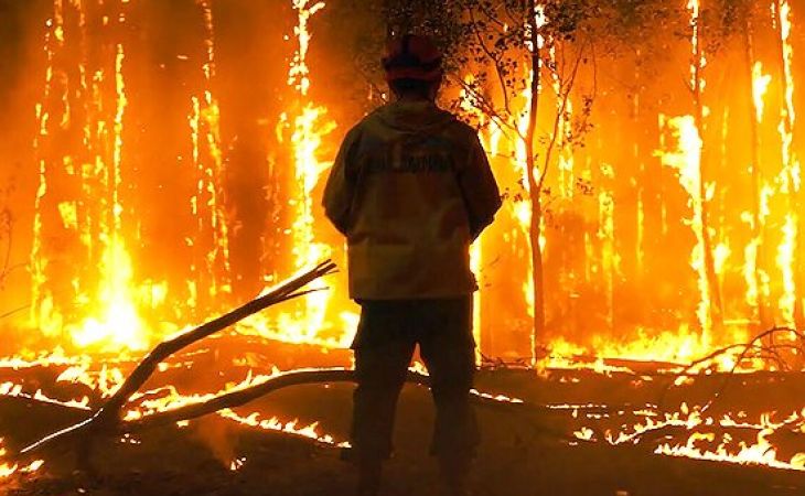 Федеральная Авиалесоохрана прогнозирует лесные пожары в Алтайском крае уже в апреле