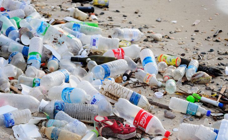 В России предлагают запретить использование одноразового пластика