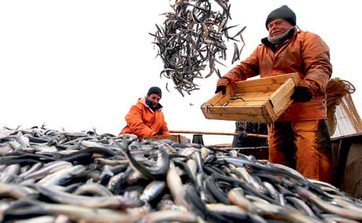 ВТБ поддержит рыбопромышленные предприятия Дальнего Востока