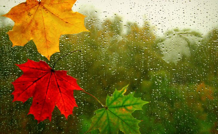 Погода 29 сентября в Алтайском крае: небольшой дождь и до +13 градусов