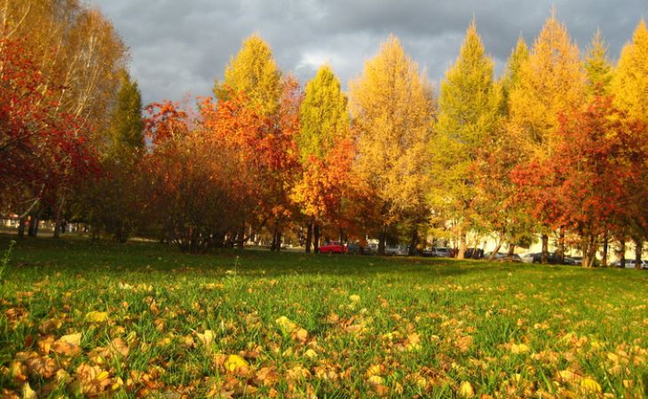 Погода 15 октября в Алтайском крае: без осадков и до +17 градусов