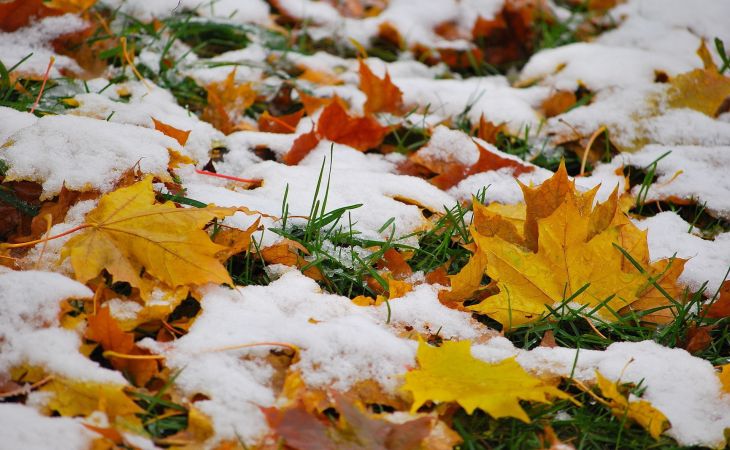 Погода 1 ноября в Алтайском крае: снег, ветер и до -2 градусов