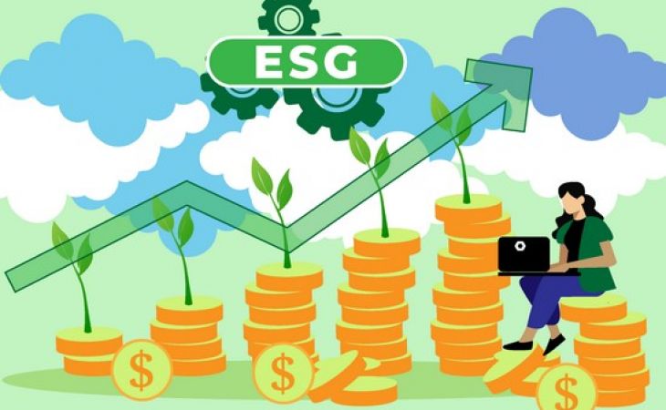 ВТБ стал "платиновым" ESG-работодателем