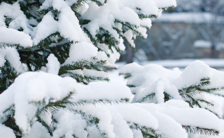 Погода 22 декабря в Алтайском крае: без осадков и до -7 градусов