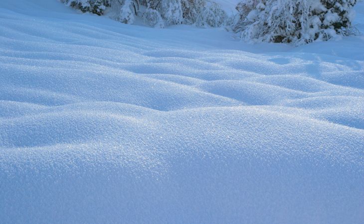Погода 24 декабря в Алтайском крае: мокрый снег и до +2 градусов