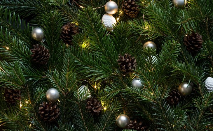 Россияне стали чаще покупать в интернете елки и новогодние украшения