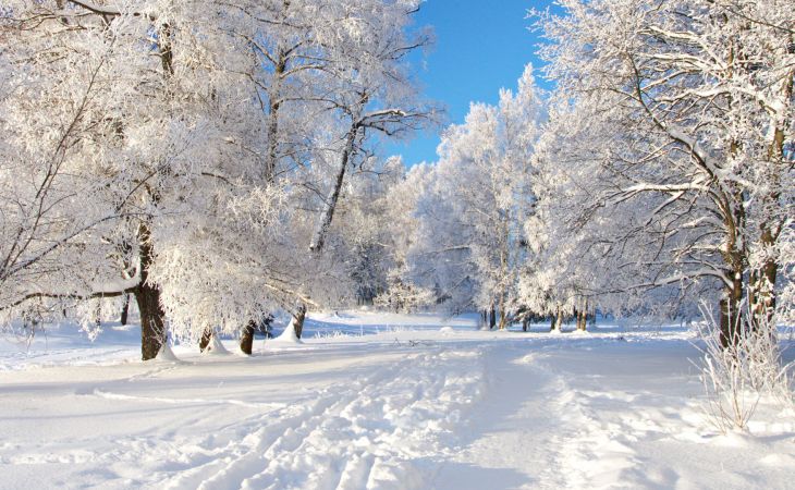 Погода 11 января в Алтайском крае: без осадков и до -15 градусов