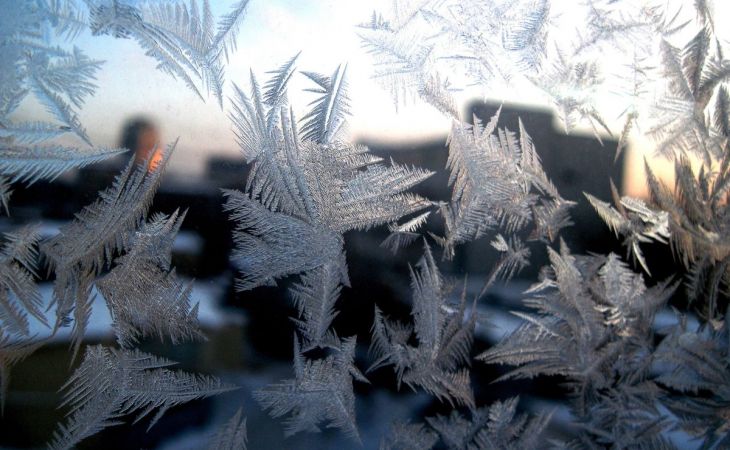 Погода 13 января в Алтайском крае: небольшой снег и до -19 градусов