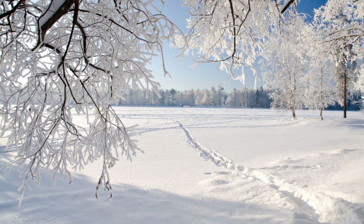 Погода 18 января в Алтайском крае: похолодание до -19 градусов