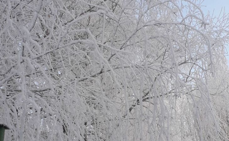 Погода 21 января в Алтайском крае: морозы до -16 градусов