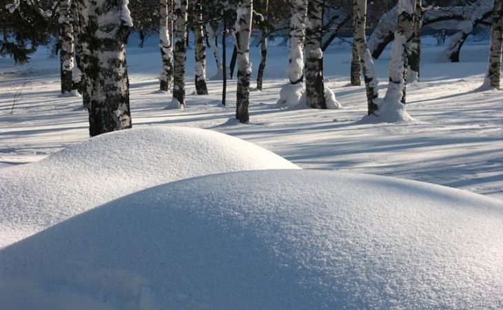 Погода 8 февраля в Алтайском крае: до -16 градусов и без осадков